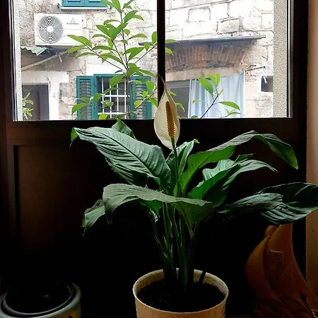 Centar App.dijana Апартаменты Сплит