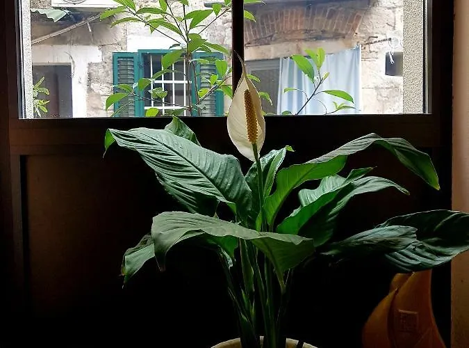 Centar App.dijana Apartman Split